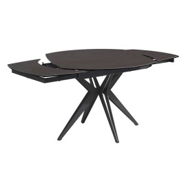 Table ovale 160 extensible céramique iron - Nénuphar 2