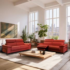 Salon 2 places cuir - Asterix 2