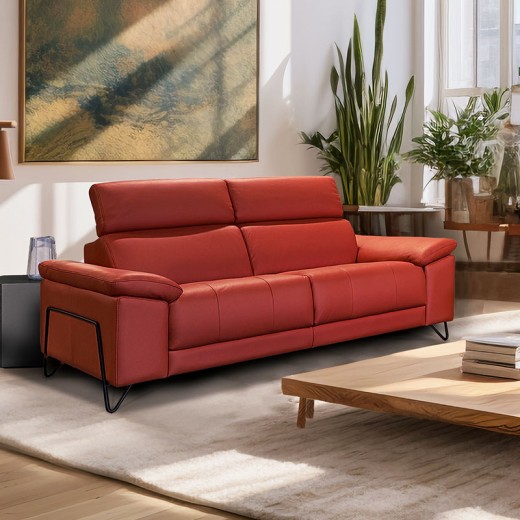 Salon 2 places cuir - Asterix