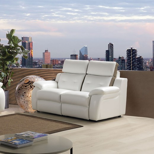 Salon 2 places fixes cuir - Continental