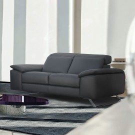 Canapé 2 places fixes cuir - Genius 2